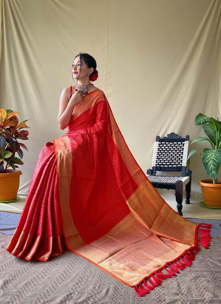 Red Patola Silk Saree