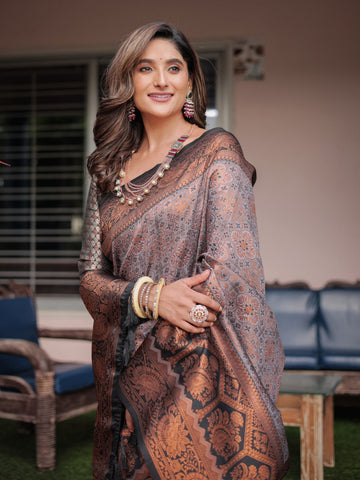 Brown Ikkat Patola Kanjivaram Saree