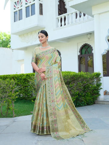 Pista Green Soft Organza Silk Saree