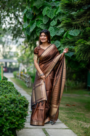 Brown Soft Banarasi Silk Saree