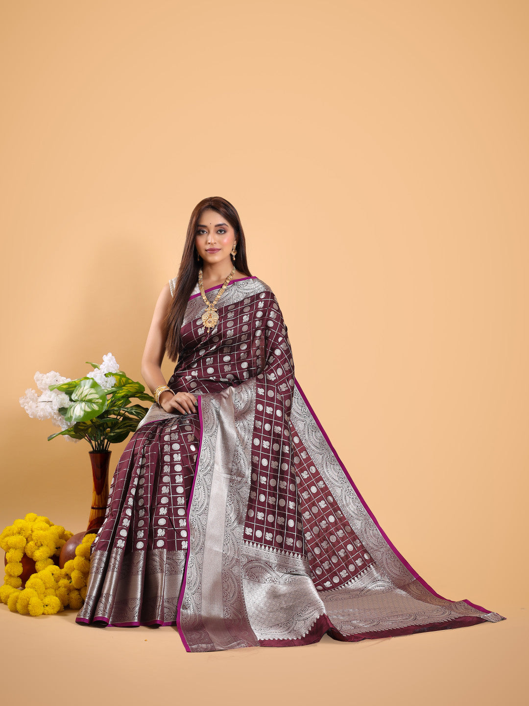 Brown Silver Zari Banarasi Silk Saree